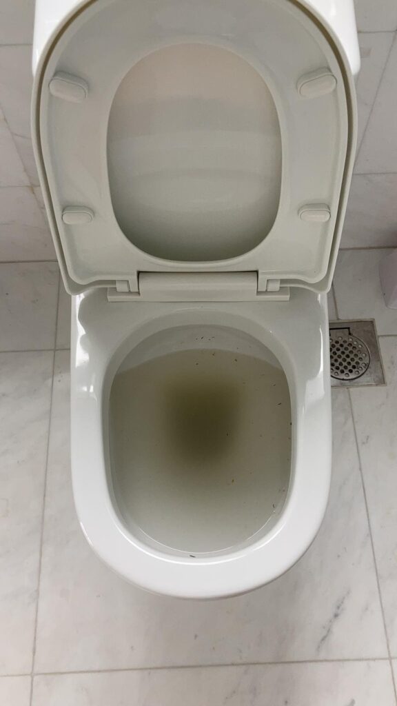 clogged-WC-disgusting