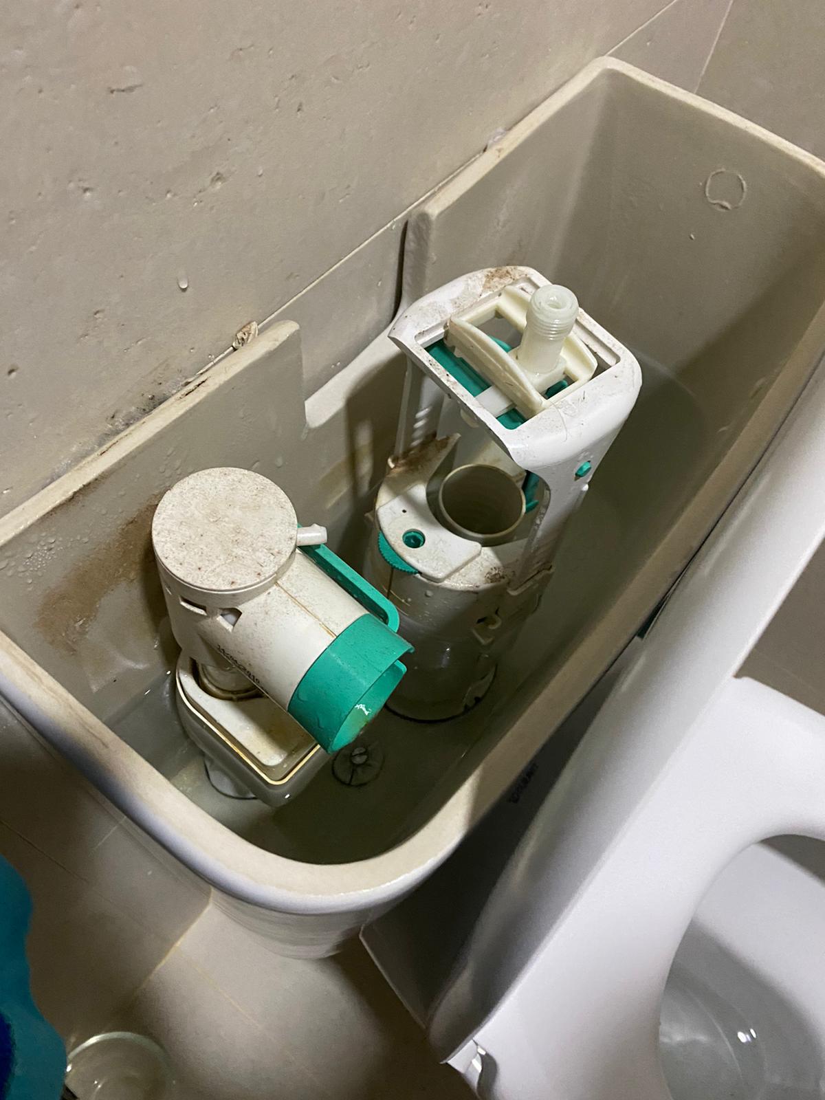 repair-toilet-flush-service