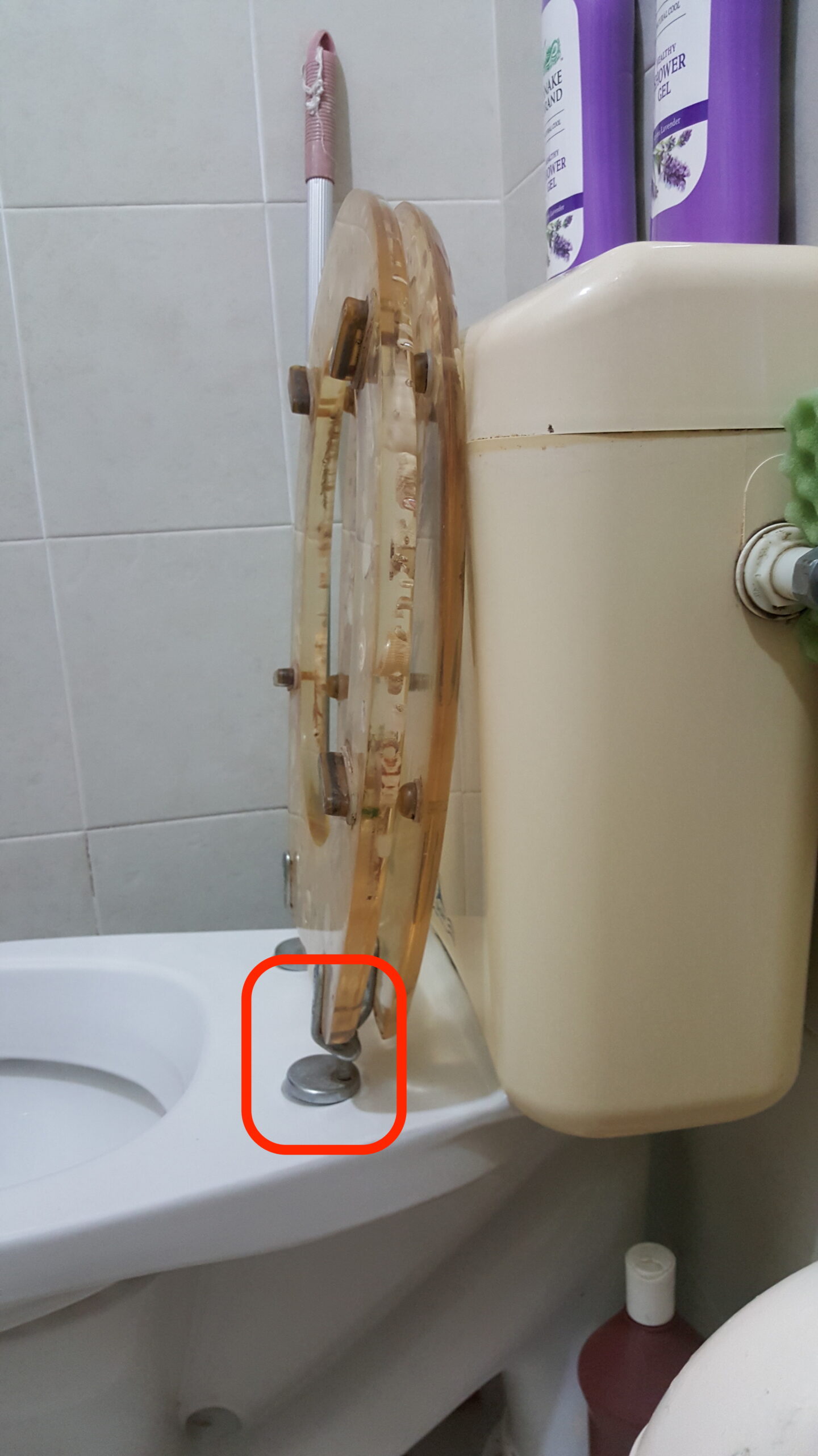 Toilet Repair Effective Solutions To Fix Common Toilet Problems