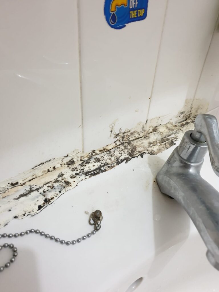 mouldy-and-crumbling-wash-basin-sealant-closeup