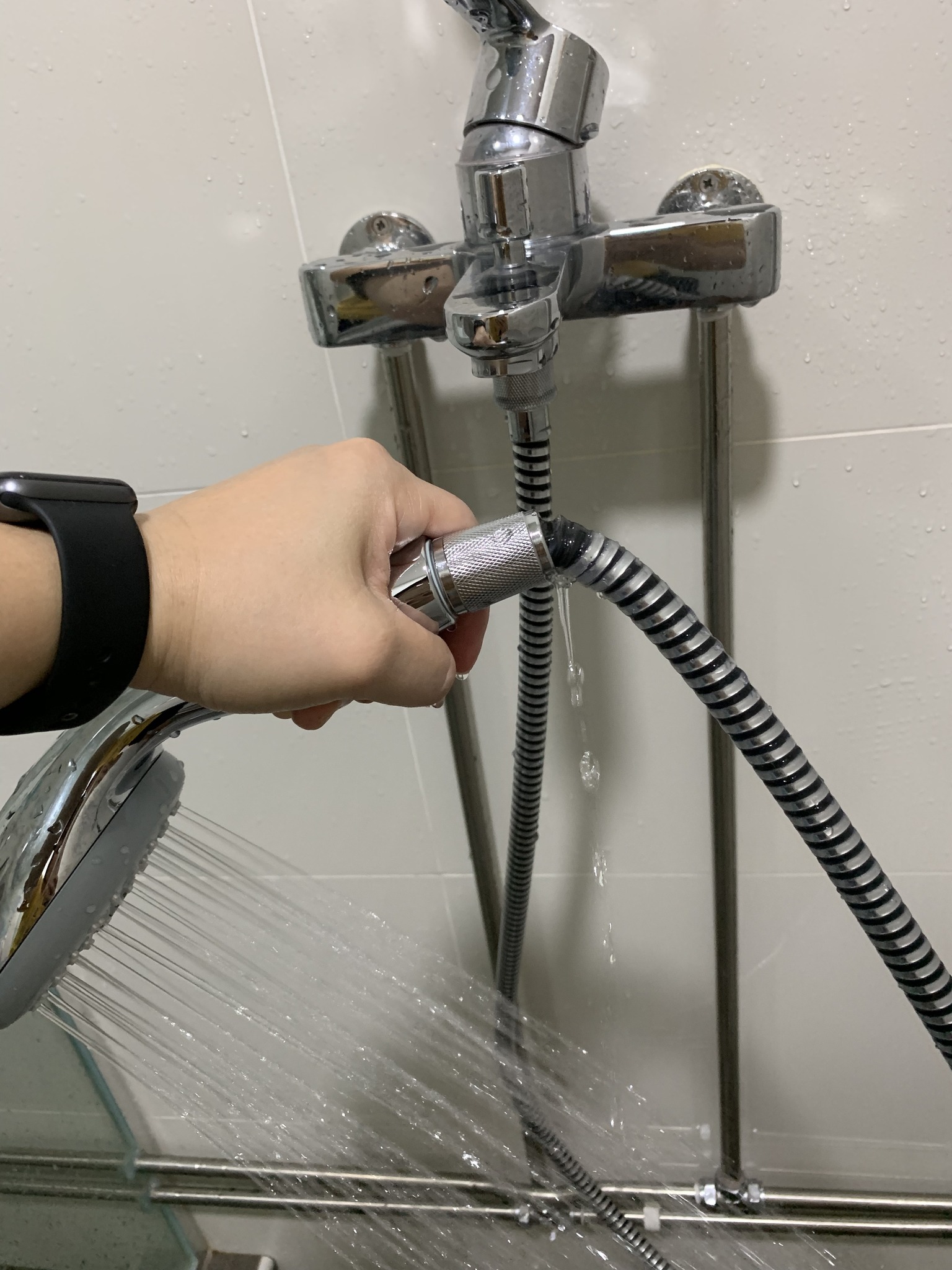 replace-leaking-shower-head-service