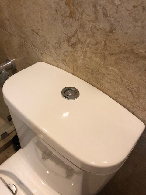 toilet-flush-button-stuck