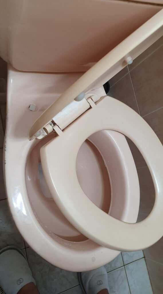replace-toilet-seat-service