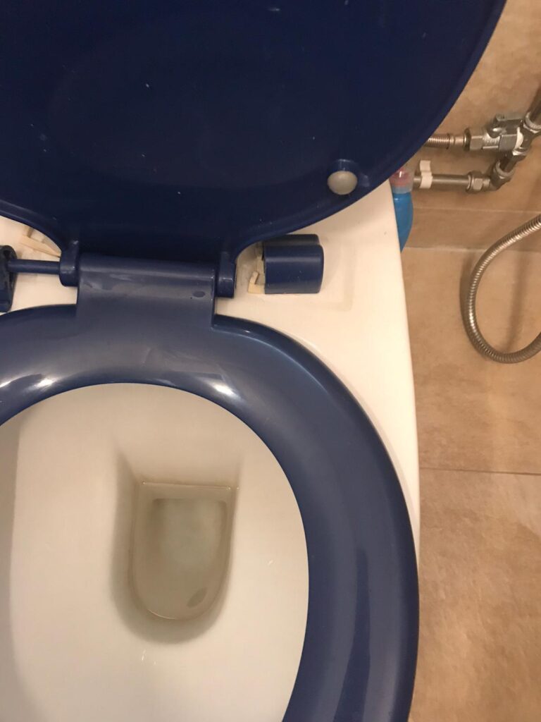 broken toilet seat plastic hinge