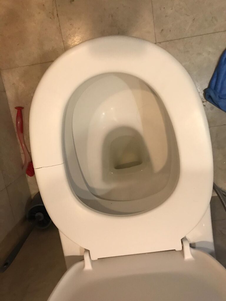 cracked toilet seat