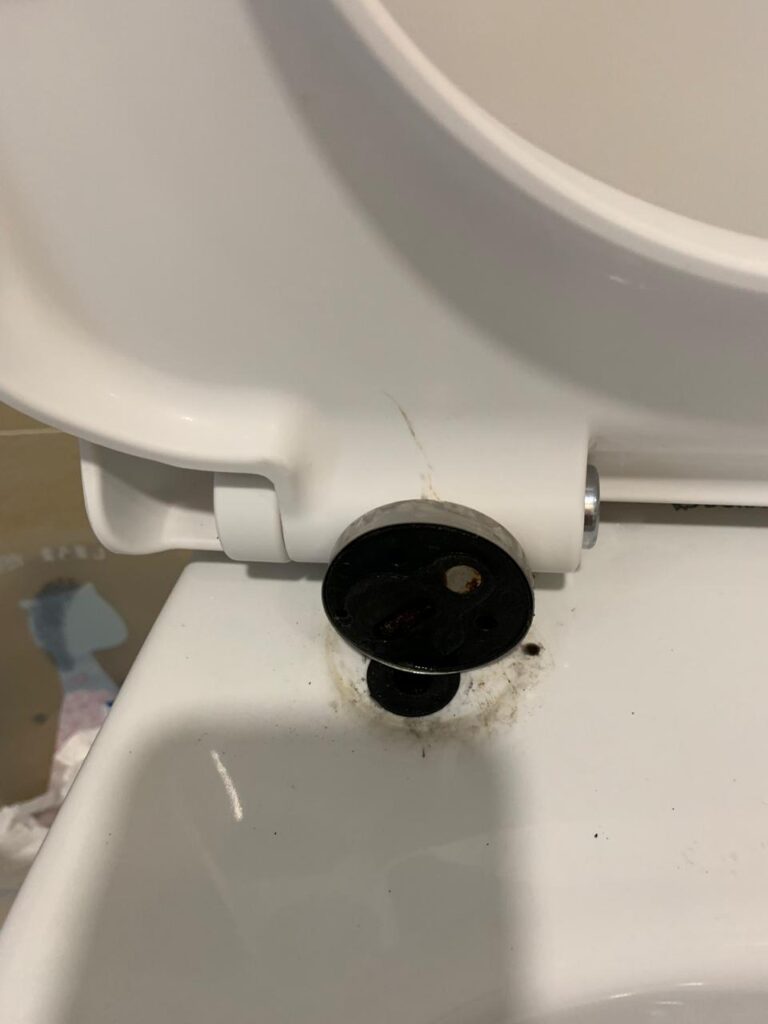damaged bolt of toilet seat
