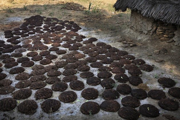 Cow Dung Cakes Used As Fuel