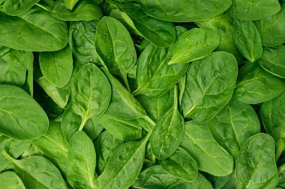 green-spinach-leaves