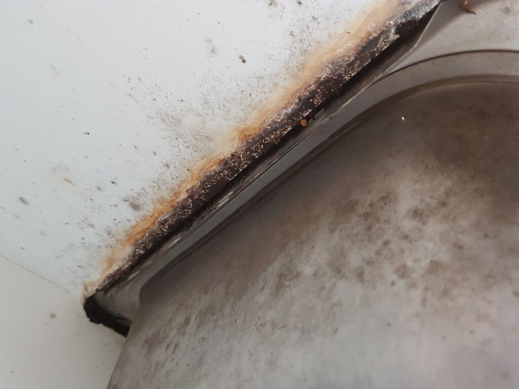 kitchen sink falling off due to rotten wood-left