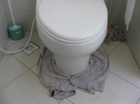 leaking toilet w cloth header