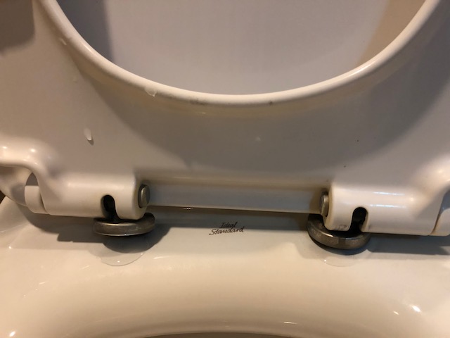 loose toilet seat needs adjusting bolts 2
