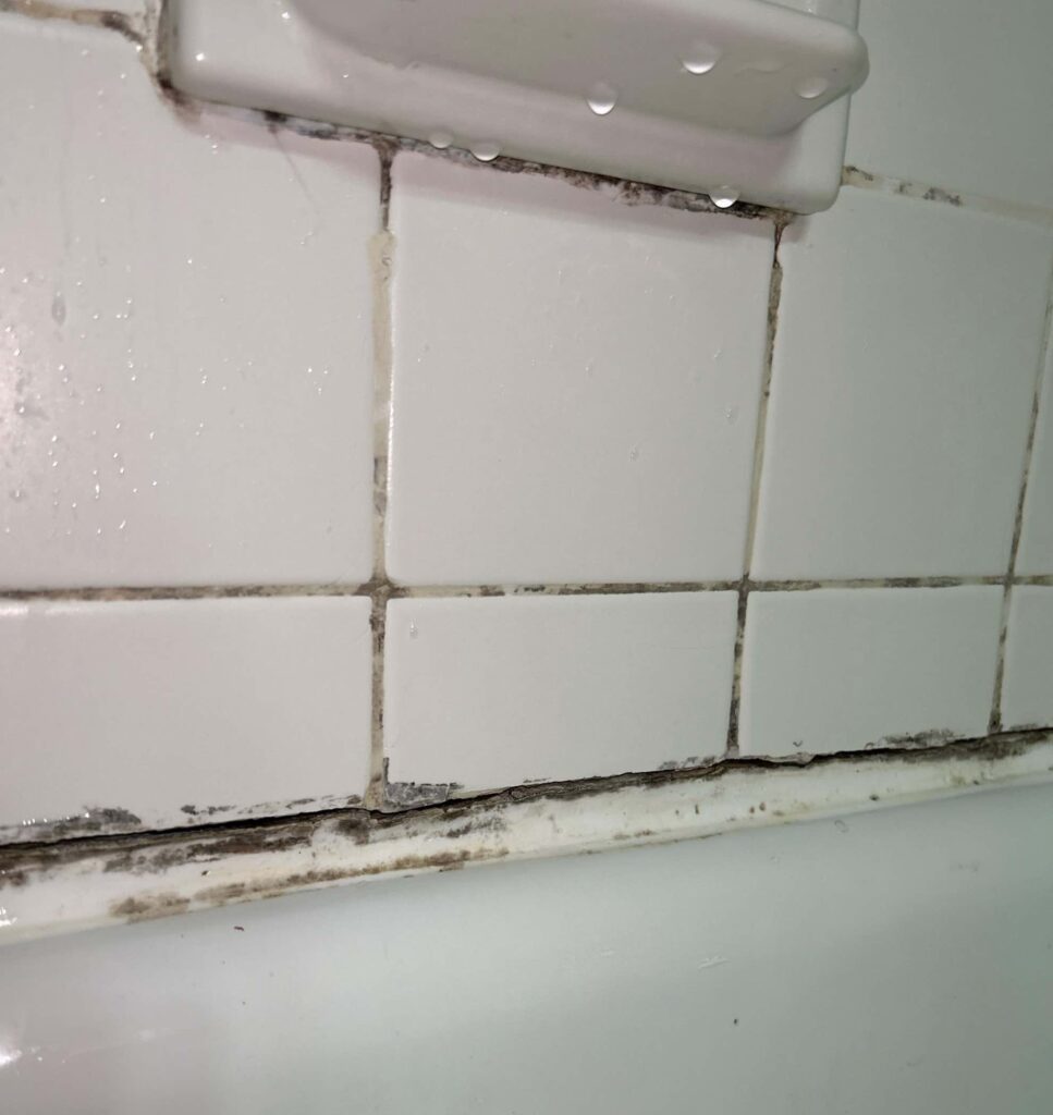 remove mildew and mould