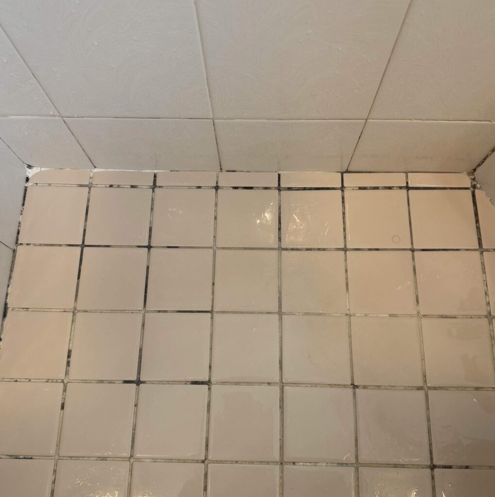 scrub off mildew from tile grout
