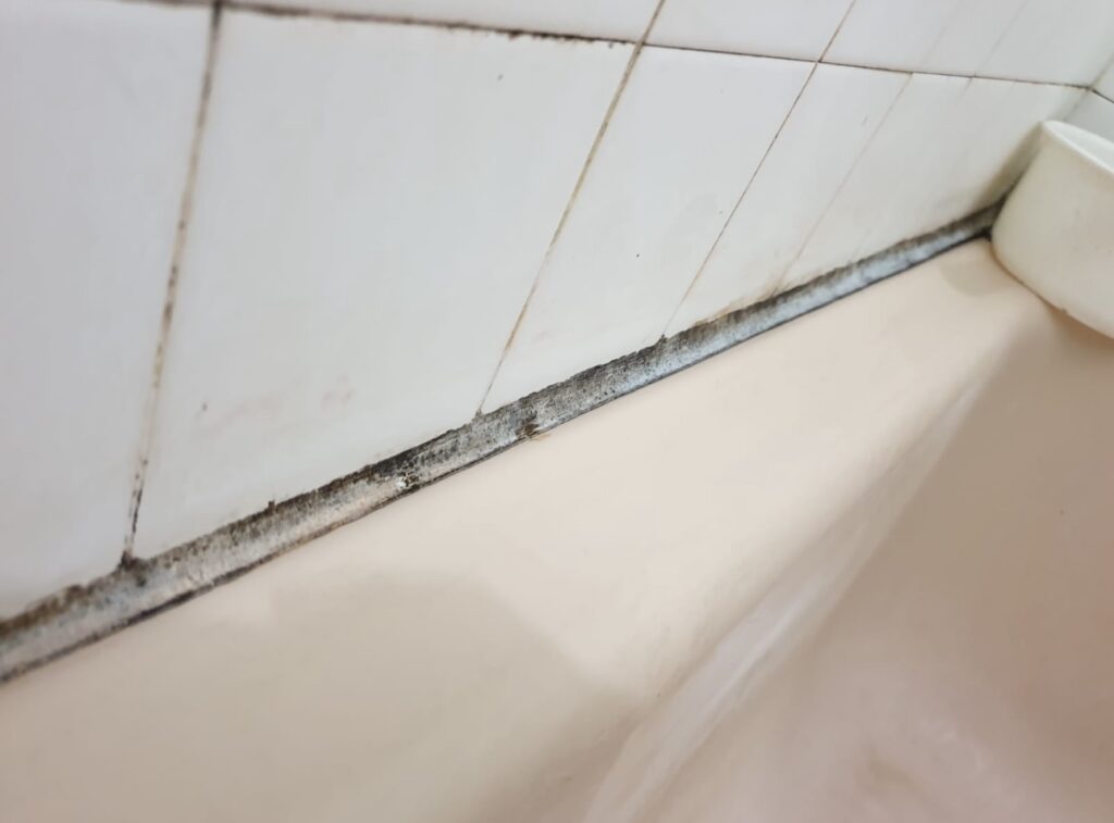 get rid of mildew in tile grout bathtub caulk