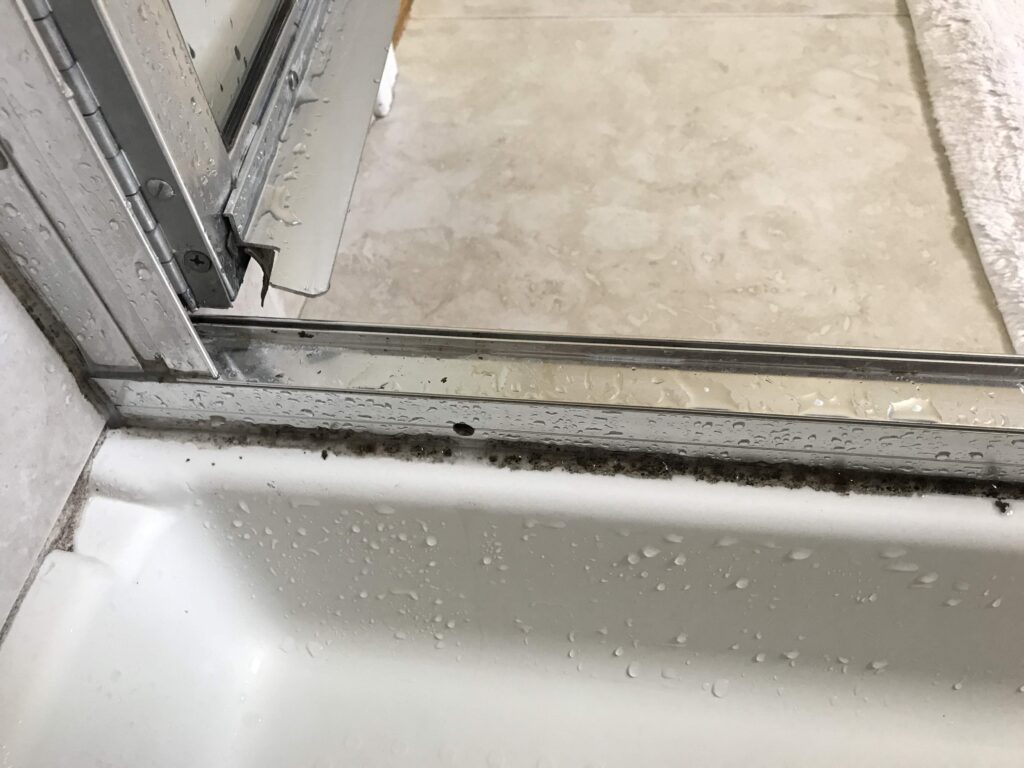 mildew on shower stall caulk