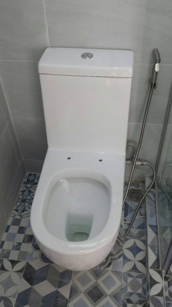 missing-toilet-seat-and-cover 2