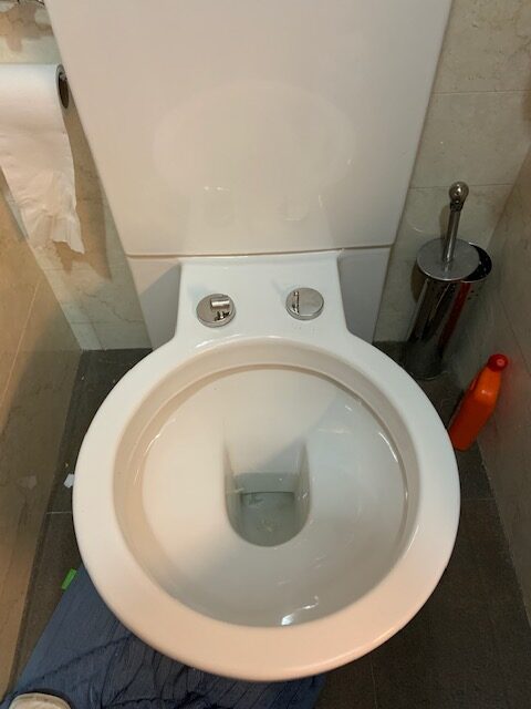 missing toilet seat and cover w hinge