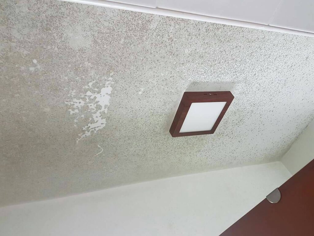 mouldy ceiling due to water leaks