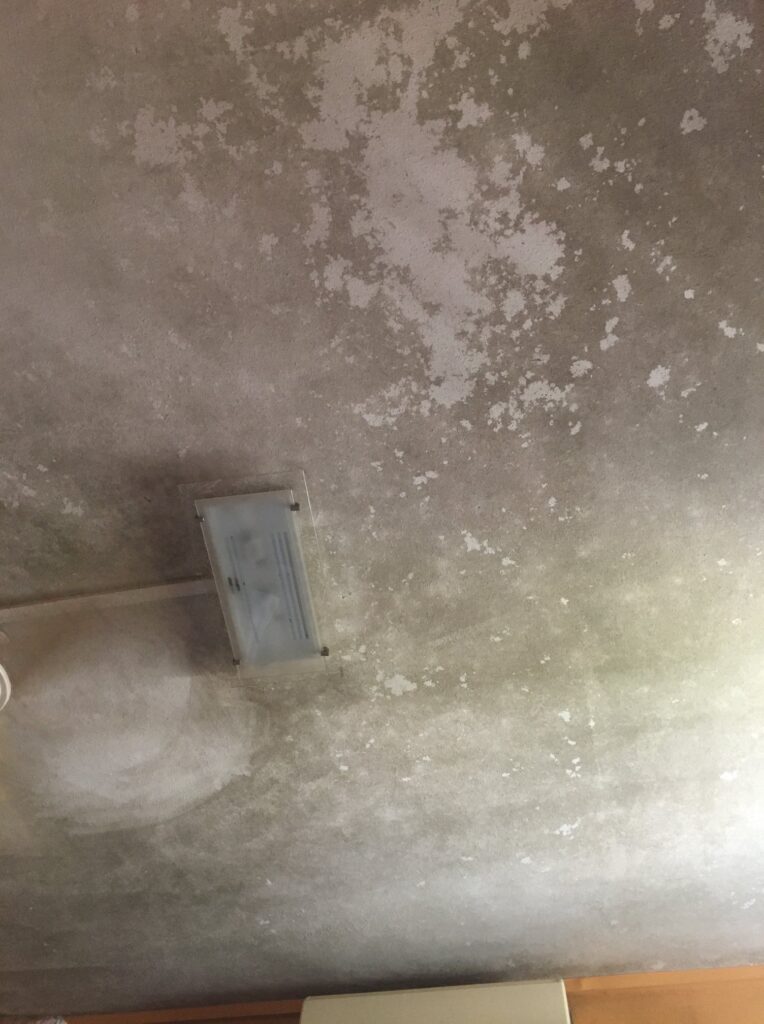 mouldy ceiling caused by water leaks
