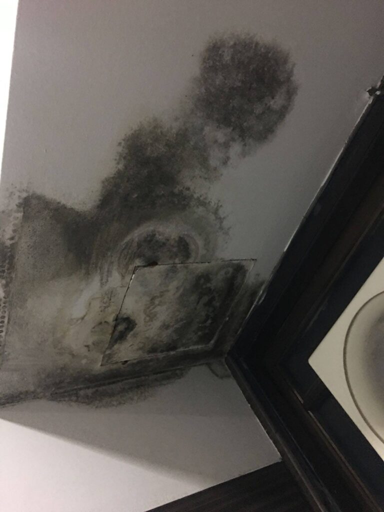 mouldy ceiling due to leaking water heater