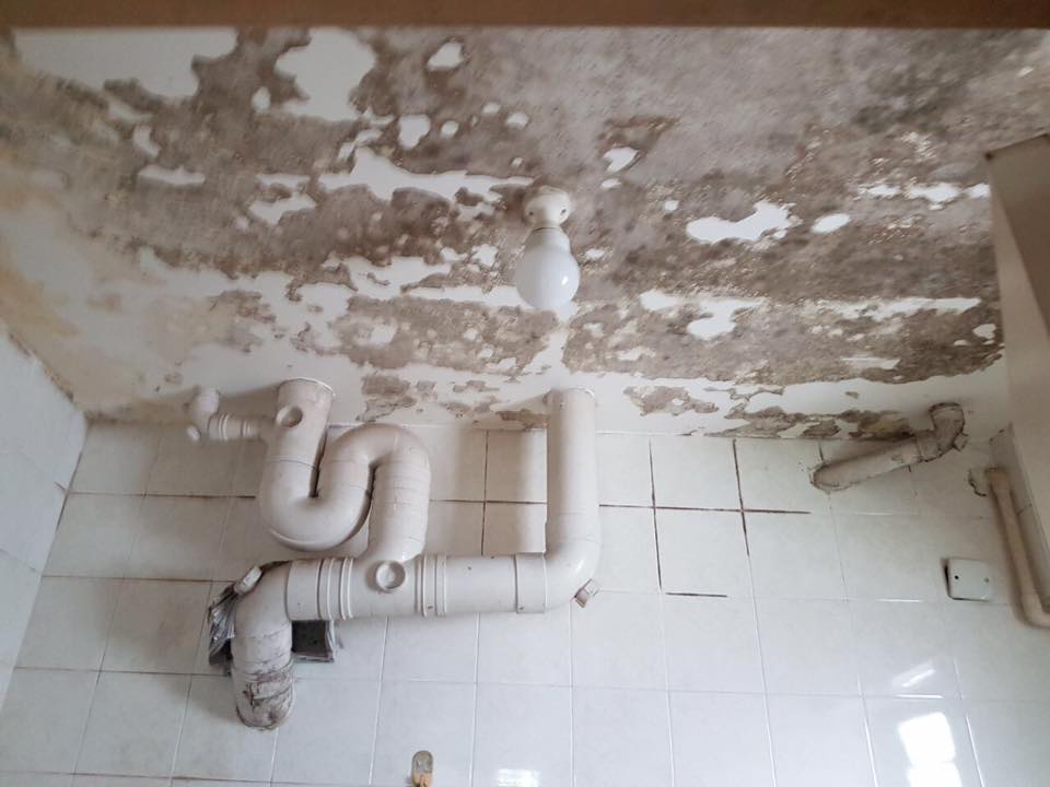 mouldy ceiling due to persistent toilet leaks