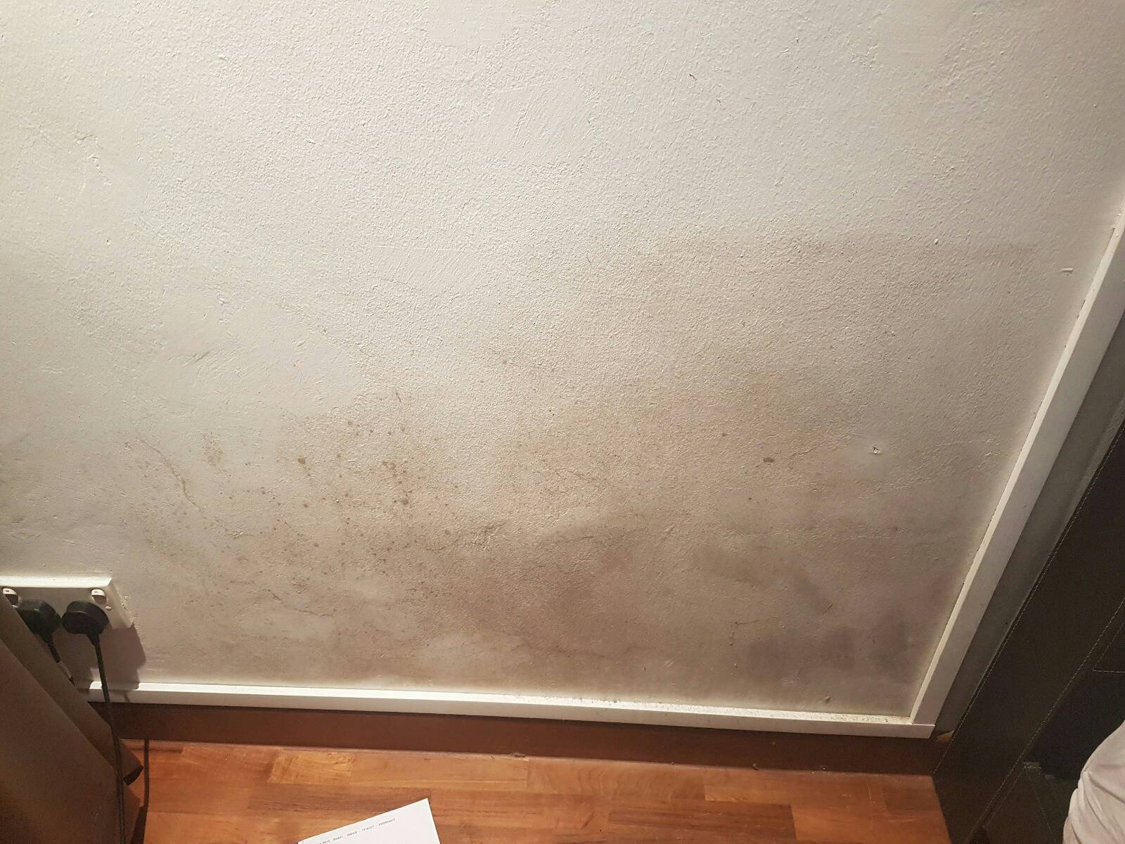 How To Get Rid Of Mould And Mildew | Tips To Remove Mould