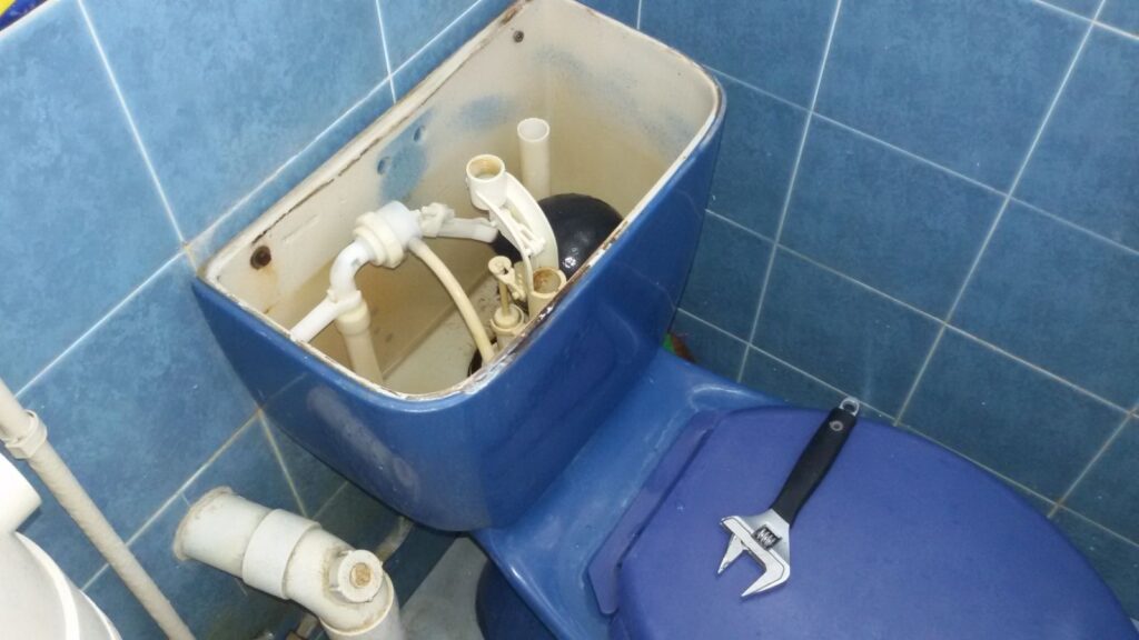 toilet-cannot-flush