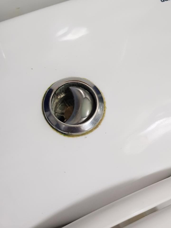toilet-flush-button-missing