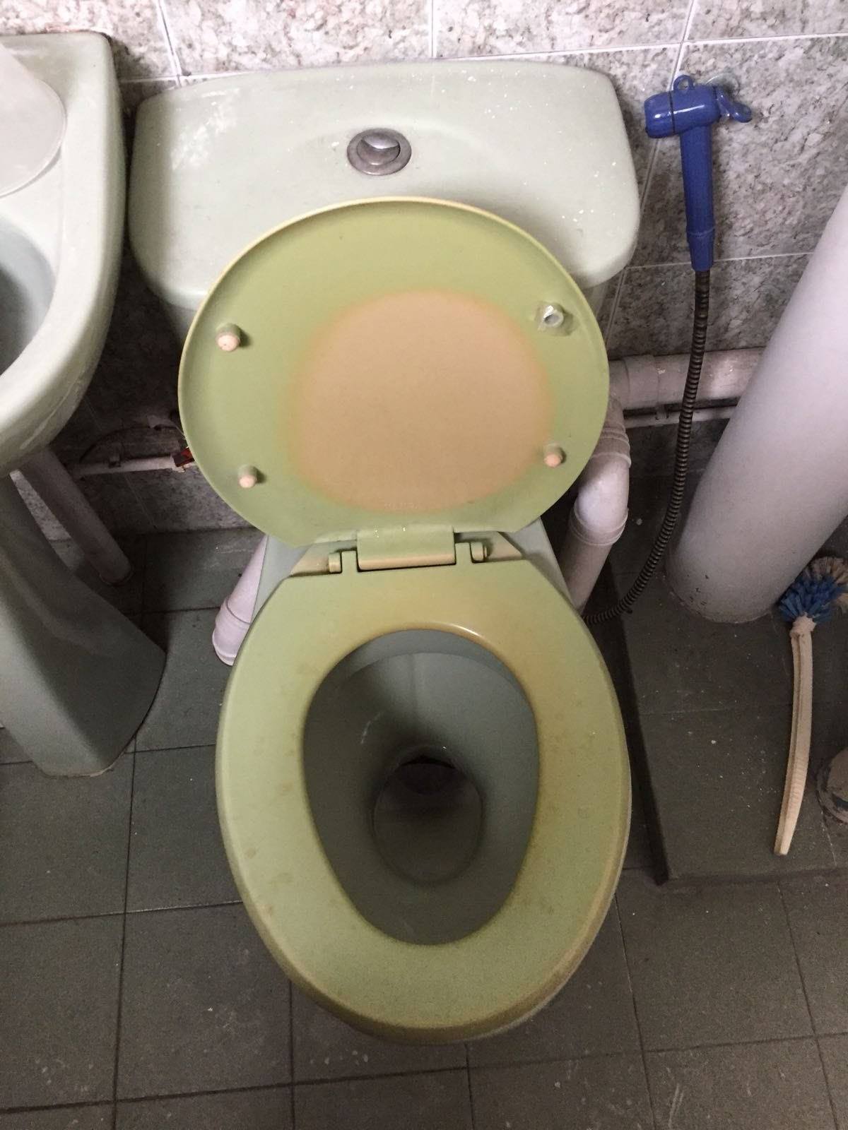 Replace Toilet Seat & Cover Common Issues & Their Solutions