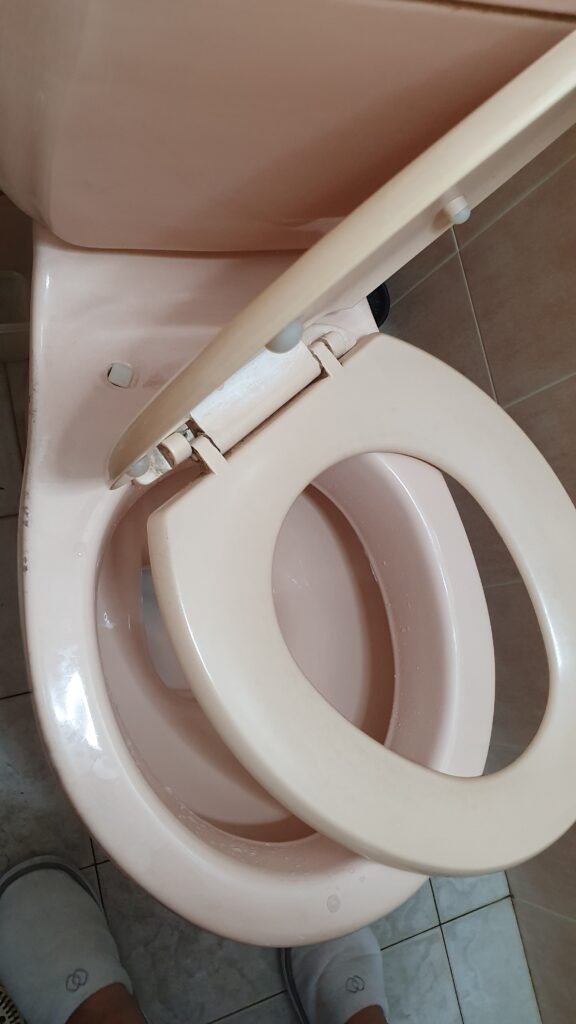toilet seat and cover - spoilt hinge