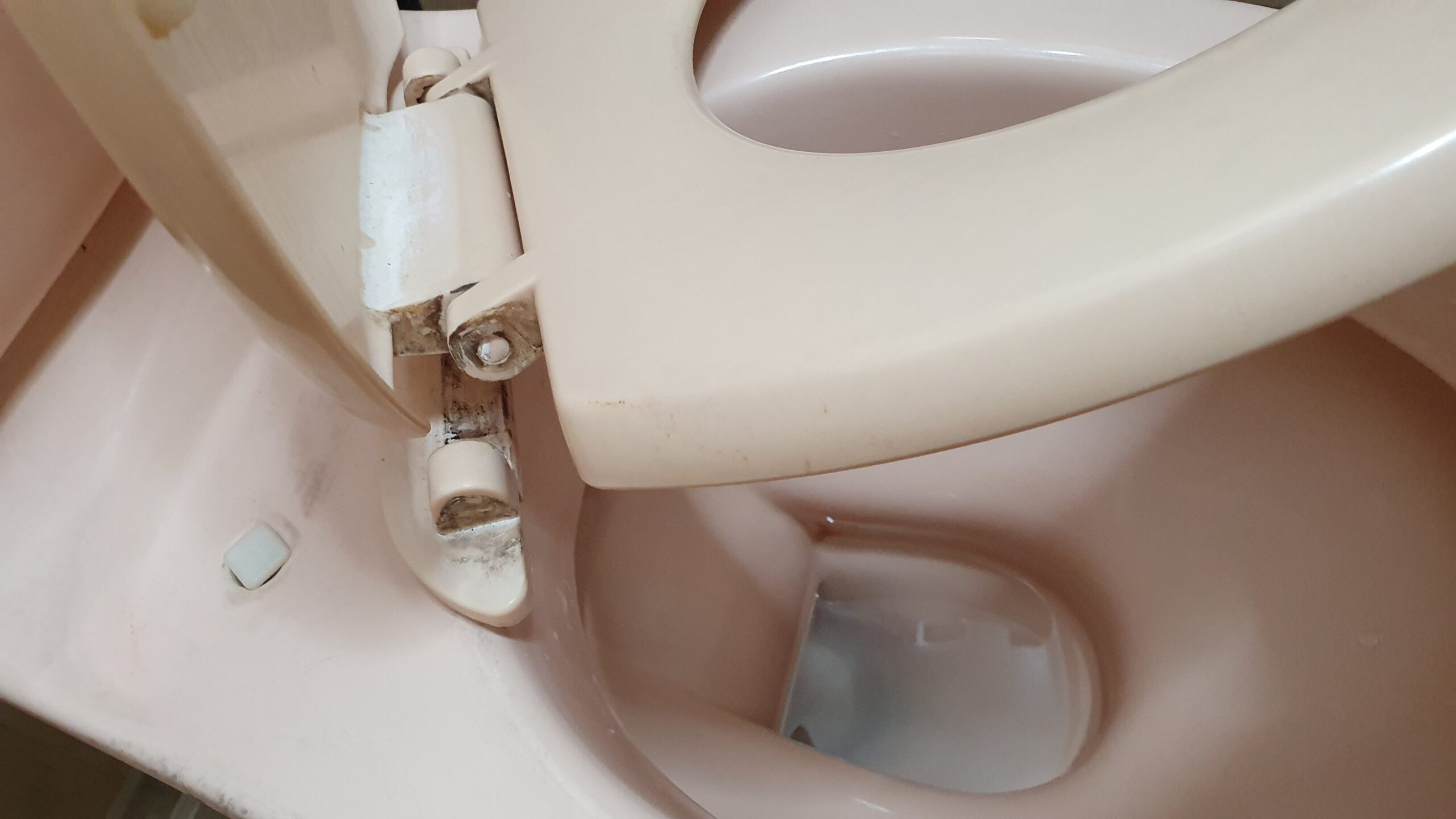 toilet seat and cover - spoilt hinge close up header