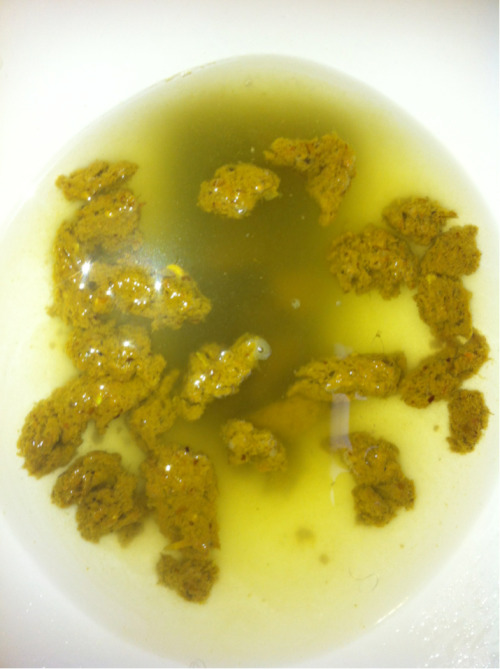 yellow-greasy-poop