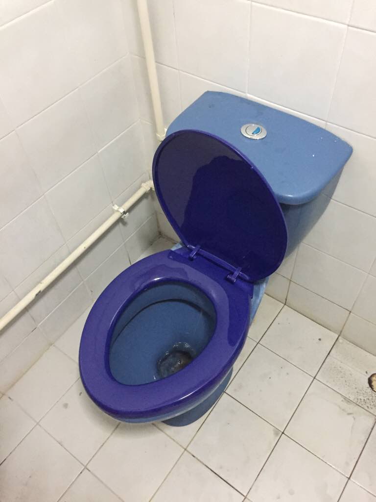new-toilet-bowl-seat