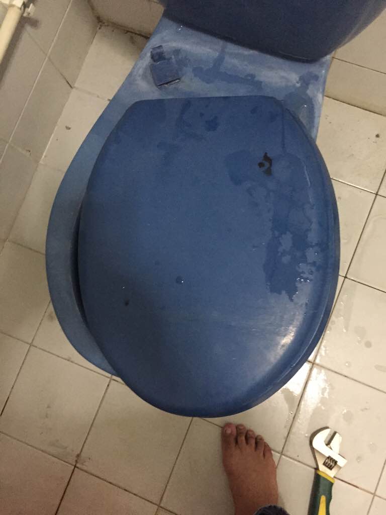 replace-toilet-bowl-seat