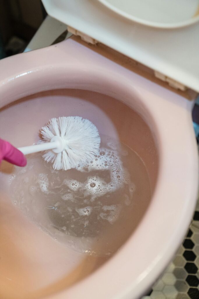 maintain toilet bowl scrub w brush
