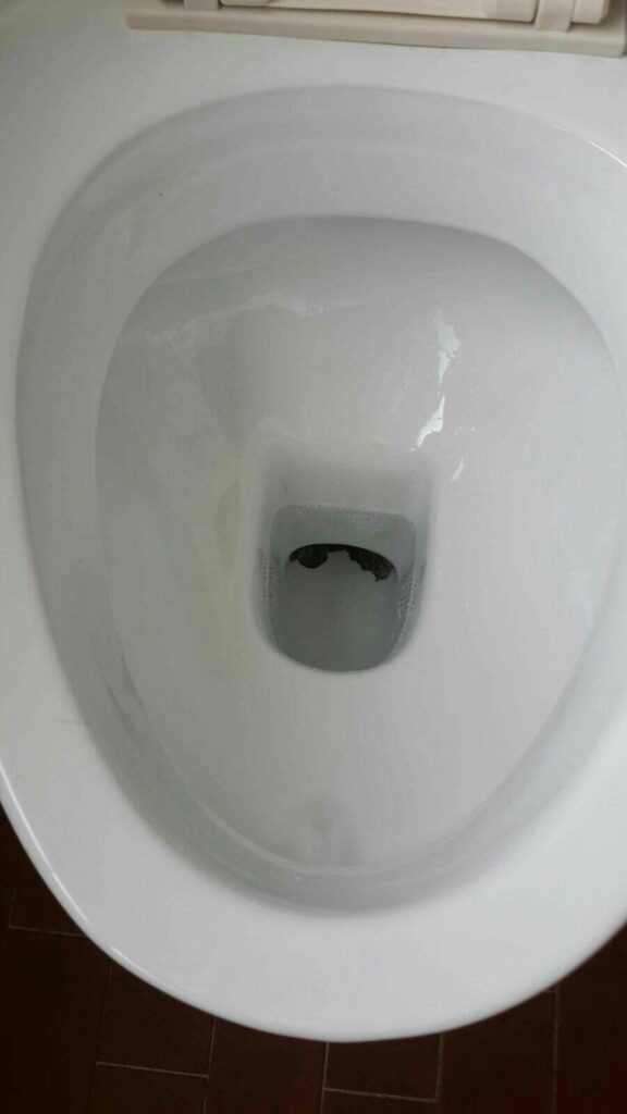 toilet-bowl-stains
