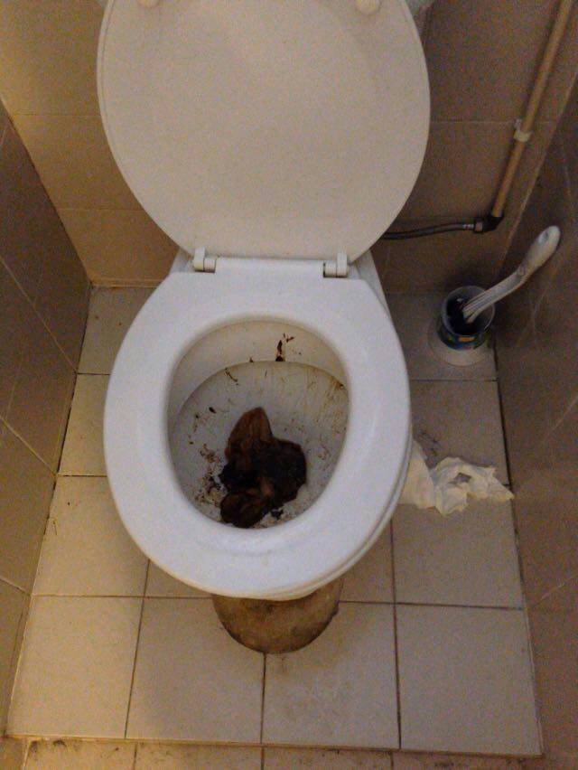 very-gross-toilet-bowl